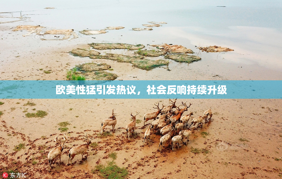 欧美性猛引发热议，社会反响持续升级