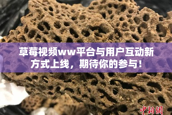 草莓视频ww平台与用户互动新方式上线，期待你的参与！