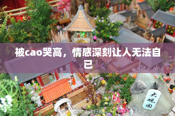被cao哭高，情感深刻让人无法自已
