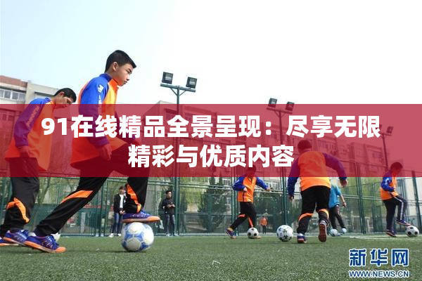 91在线精品全景呈现：尽享无限精彩与优质内容