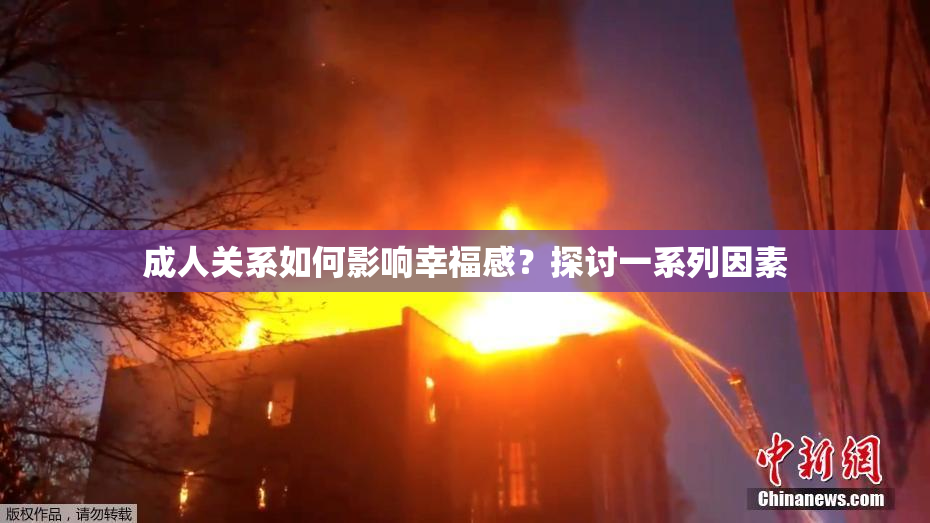 成人关系如何影响幸福感？探讨一系列因素