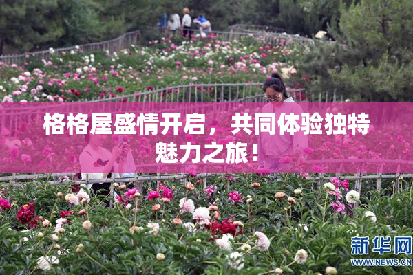 格格屋盛情开启，共同体验独特魅力之旅！