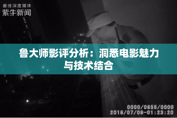 鲁大师影评分析：洞悉电影魅力与技术结合
