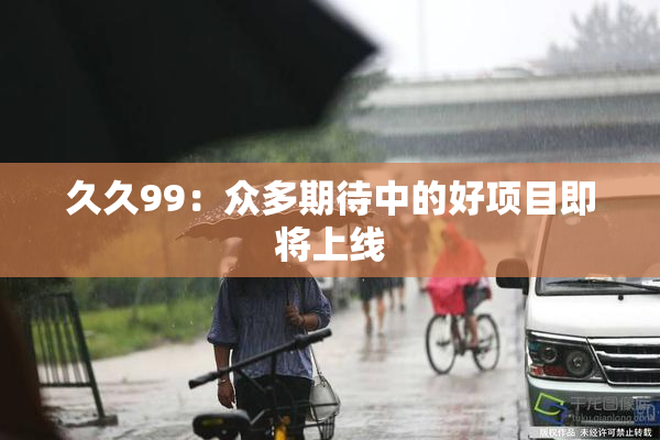 久久99：众多期待中的好项目即将上线