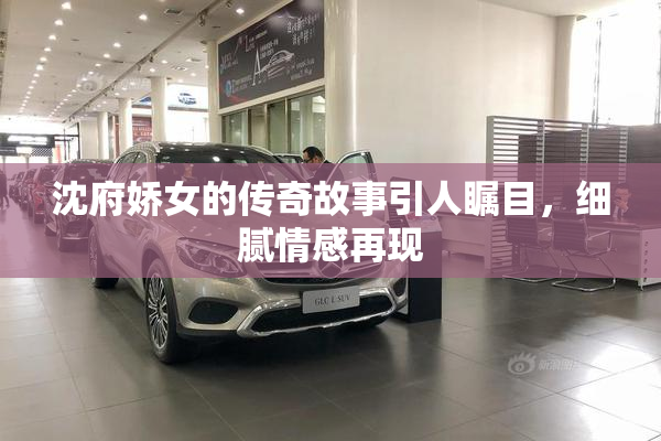 沈府娇女的传奇故事引人瞩目，细腻情感再现