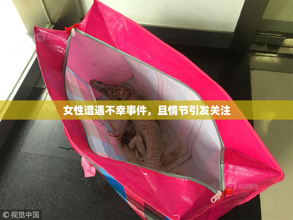 女性遭遇不幸事件，且情节引发关注