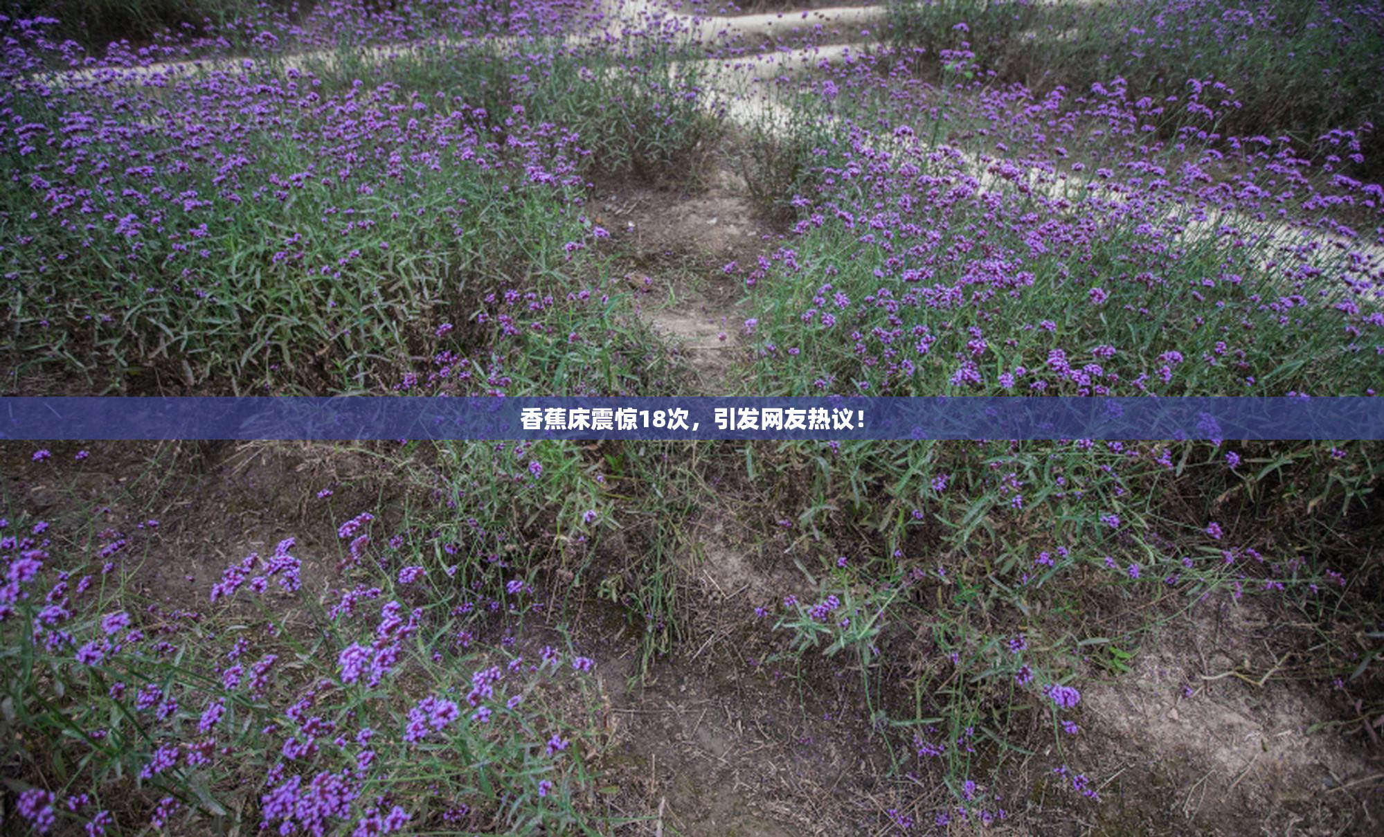 香蕉床震惊18次，引发网友热议！
