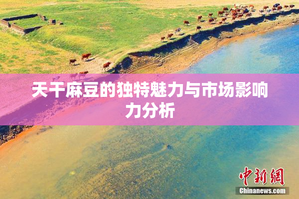 天干麻豆的独特魅力与市场影响力分析