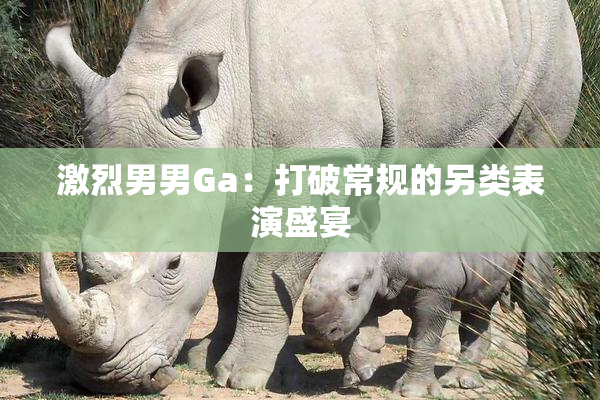 激烈男男Ga：打破常规的另类表演盛宴