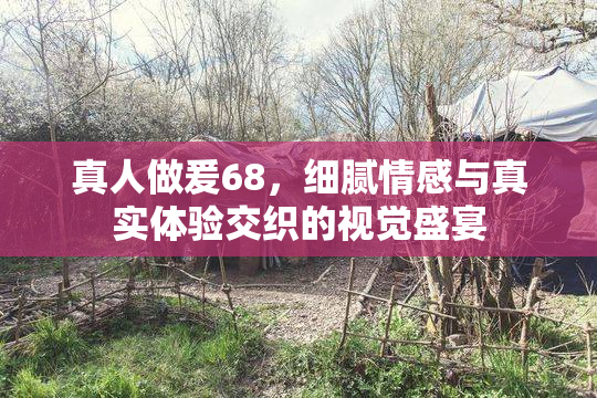 真人做爰68，细腻情感与真实体验交织的视觉盛宴