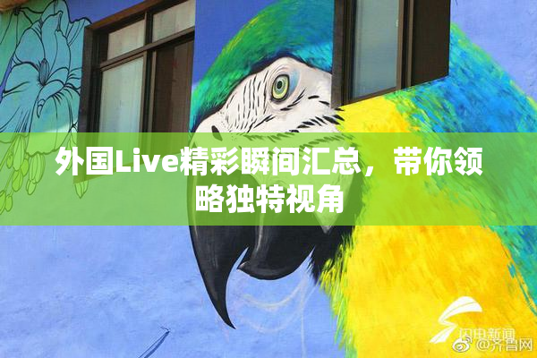 外国Live精彩瞬间汇总，带你领略独特视角
