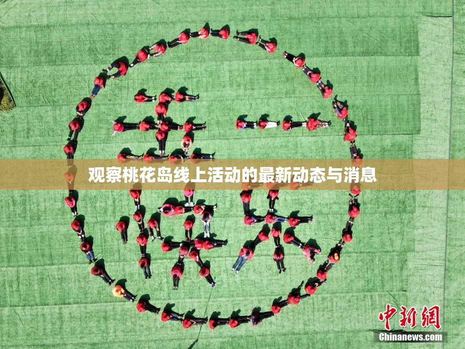 观察桃花岛线上活动的最新动态与消息