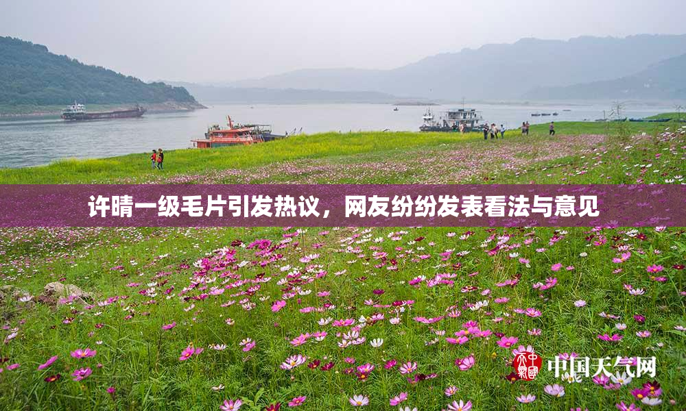 许晴一级毛片引发热议，网友纷纷发表看法与意见