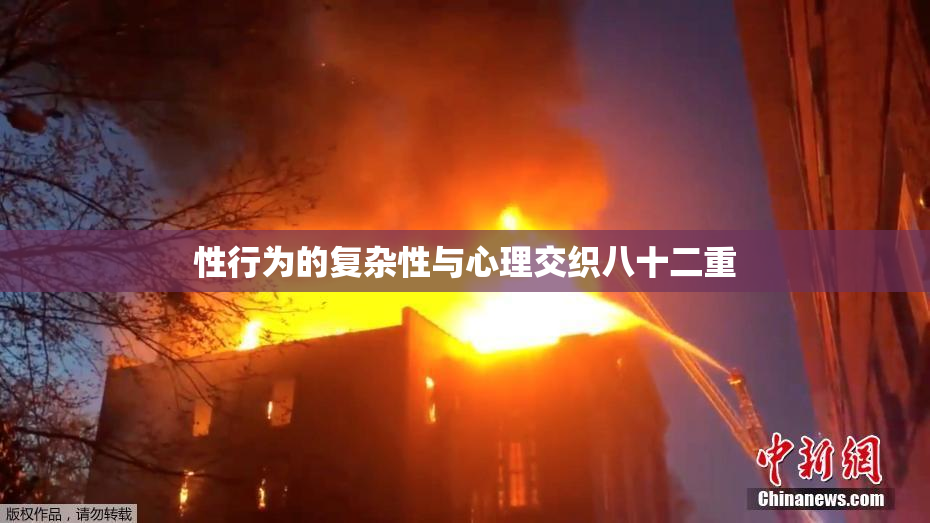 性行为的复杂性与心理交织八十二重