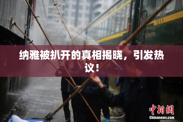 纳雅被扒开的真相揭晓，引发热议！