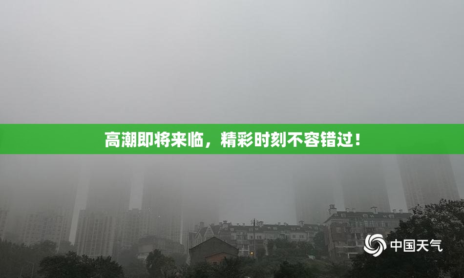 高潮即将来临，精彩时刻不容错过！