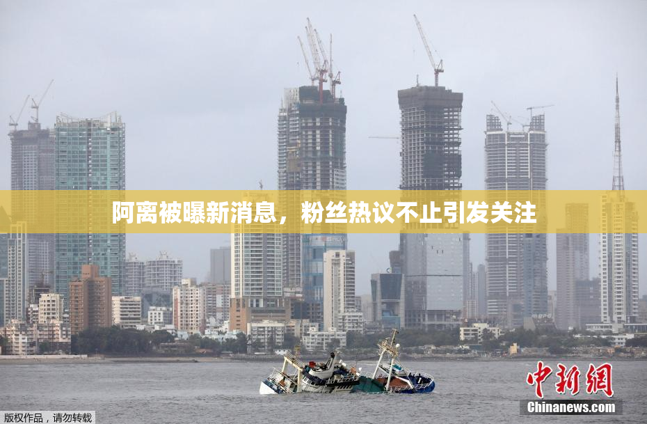 阿离被曝新消息，粉丝热议不止引发关注