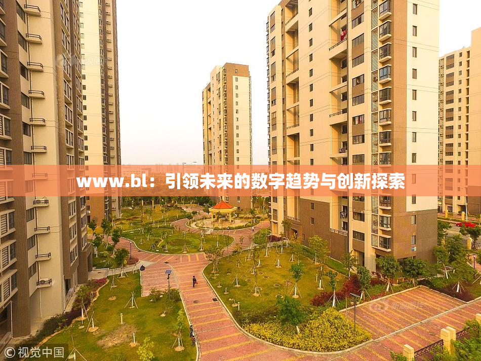 www.bl：引领未来的数字趋势与创新探索