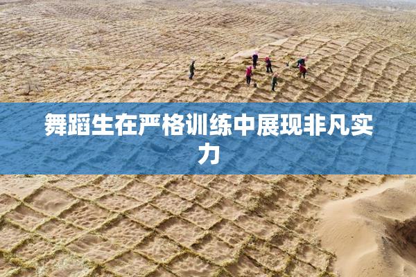 舞蹈生在严格训练中展现非凡实力