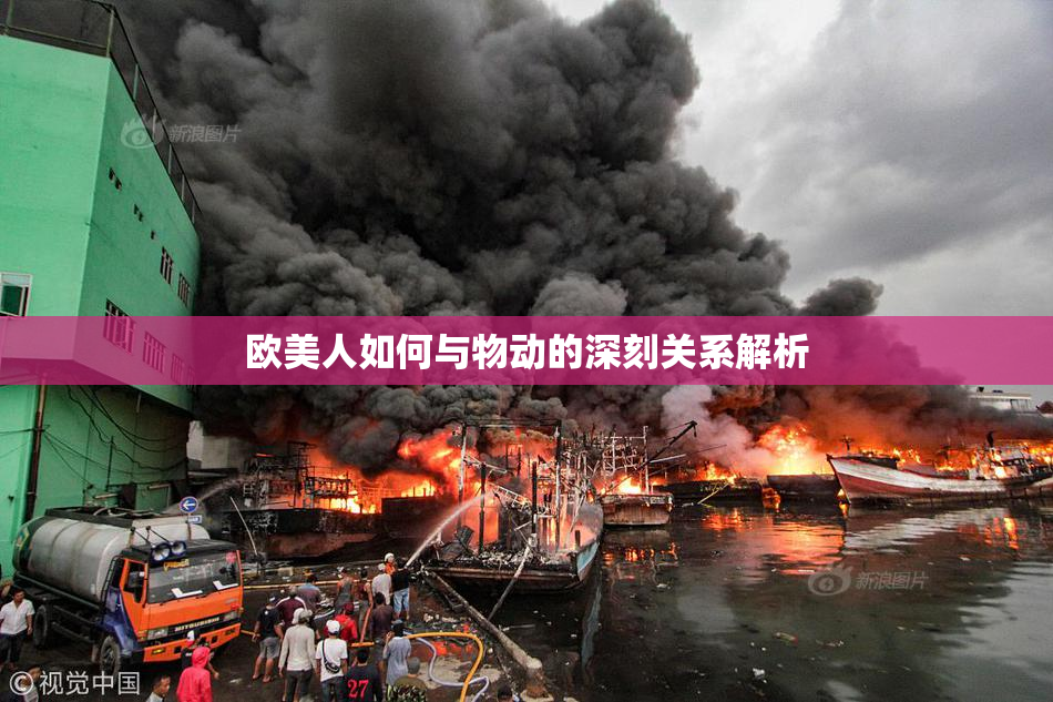 欧美人如何与物动的深刻关系解析