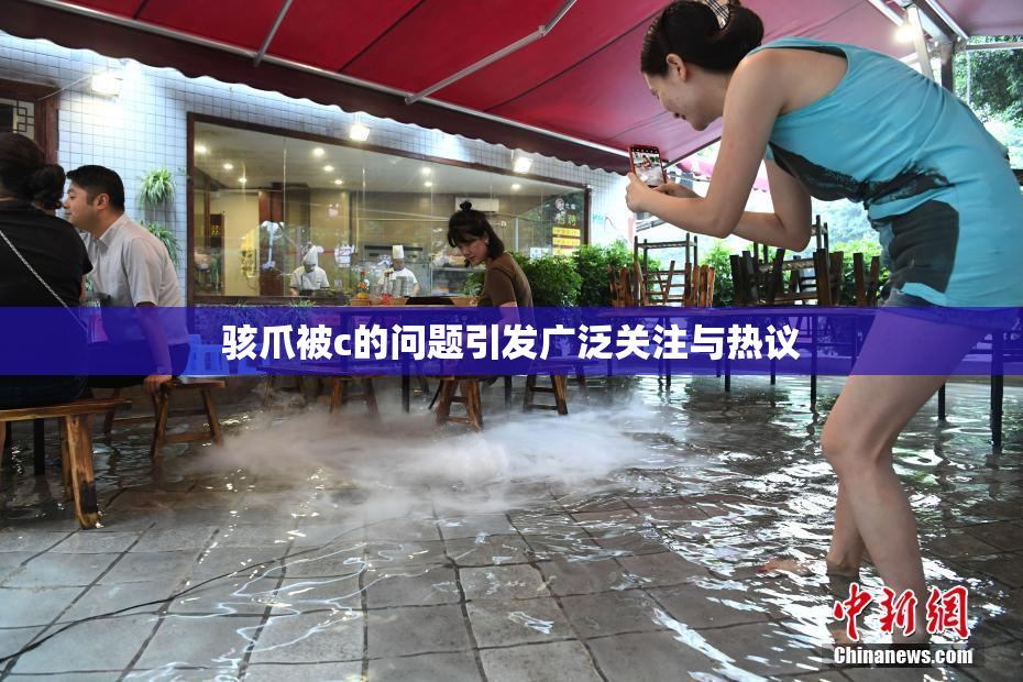 骇爪被c的问题引发广泛关注与热议