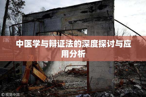 中医学与辩证法的深度探讨与应用分析