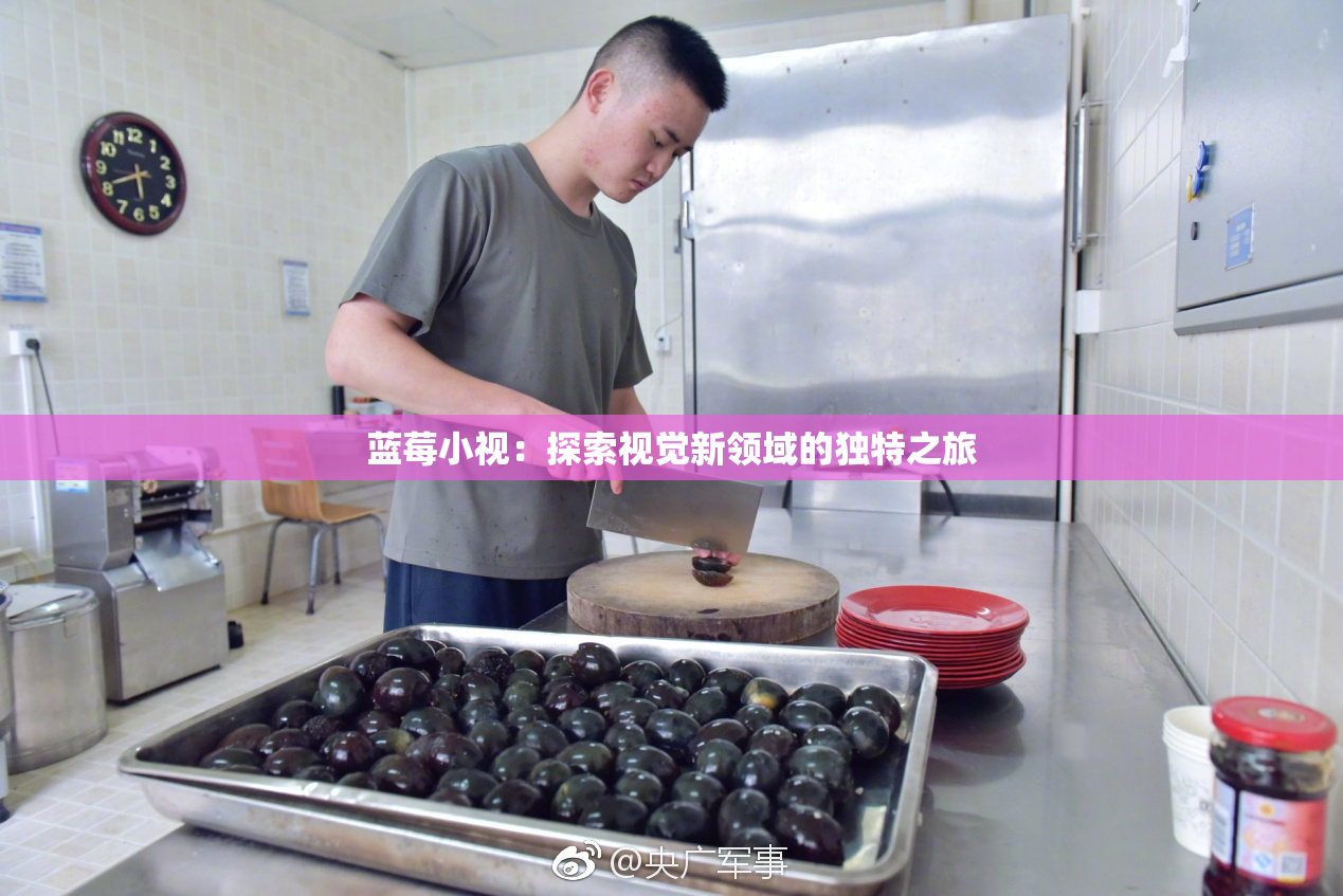蓝莓小视：探索视觉新领域的独特之旅