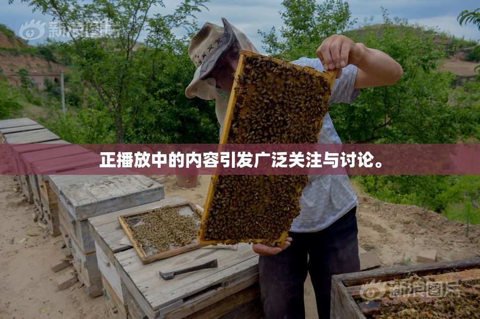 正播放中的内容引发广泛关注与讨论。