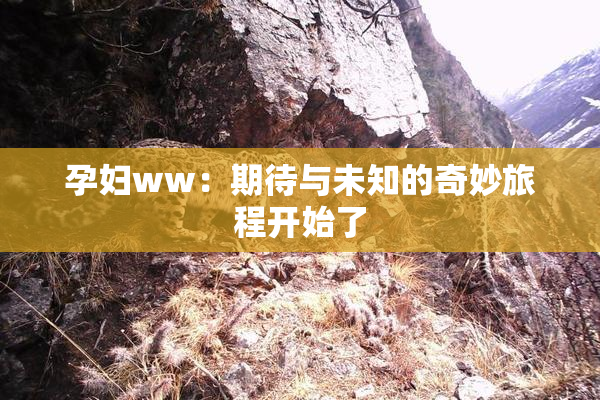 孕妇ww：期待与未知的奇妙旅程开始了