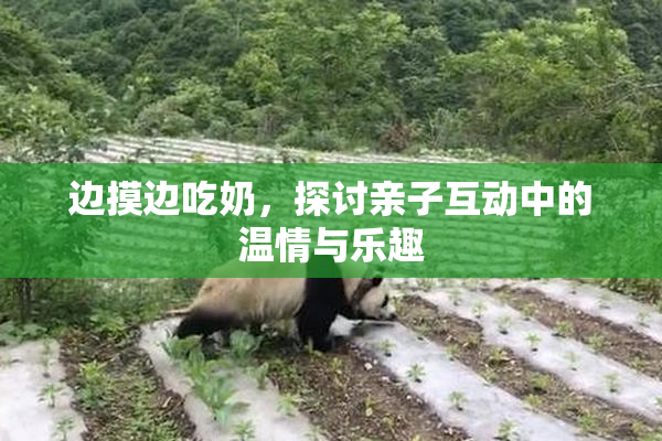 边摸边吃奶，探讨亲子互动中的温情与乐趣