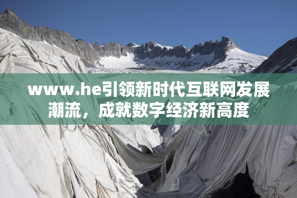 www.he引领新时代互联网发展潮流，成就数字经济新高度