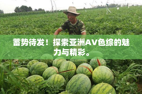 蓄势待发！探索亚洲AV色综的魅力与精彩。