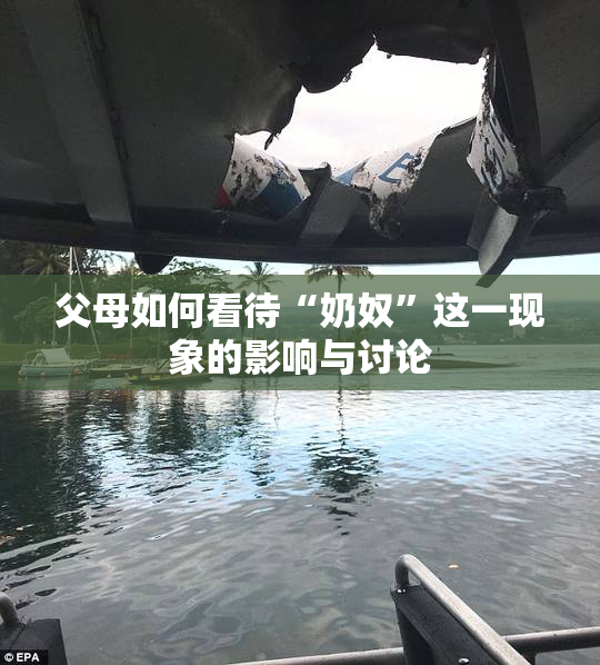 父母如何看待“奶奴”这一现象的影响与讨论