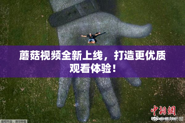 蘑菇视频全新上线，打造更优质观看体验！