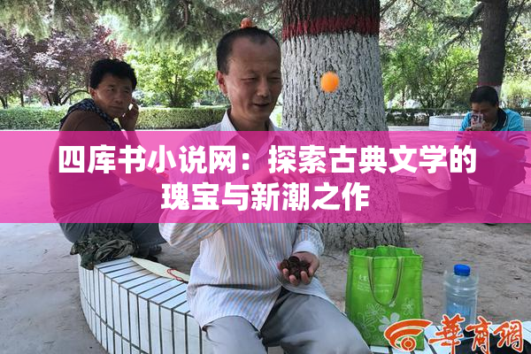 四库书小说网：探索古典文学的瑰宝与新潮之作