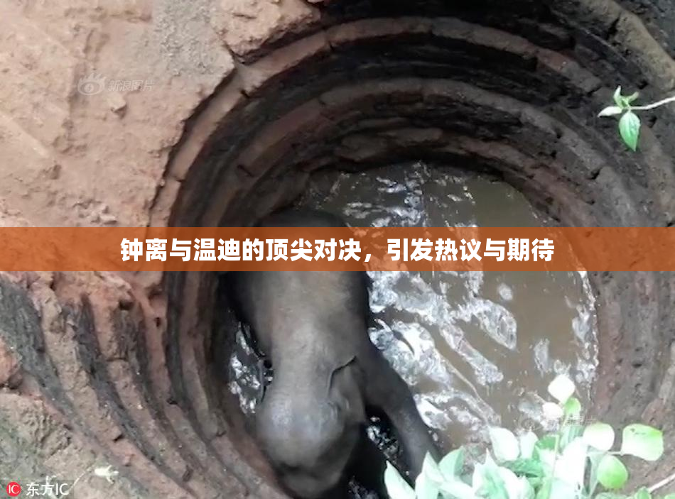 钟离与温迪的顶尖对决，引发热议与期待