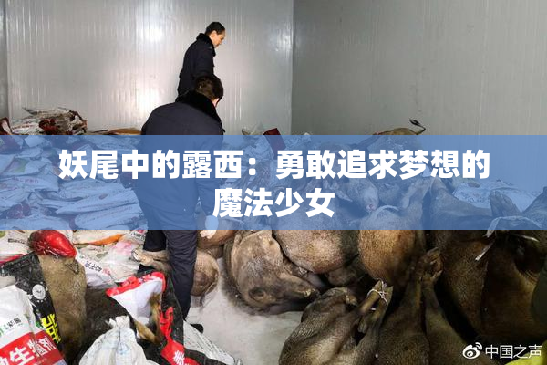 妖尾中的露西：勇敢追求梦想的魔法少女