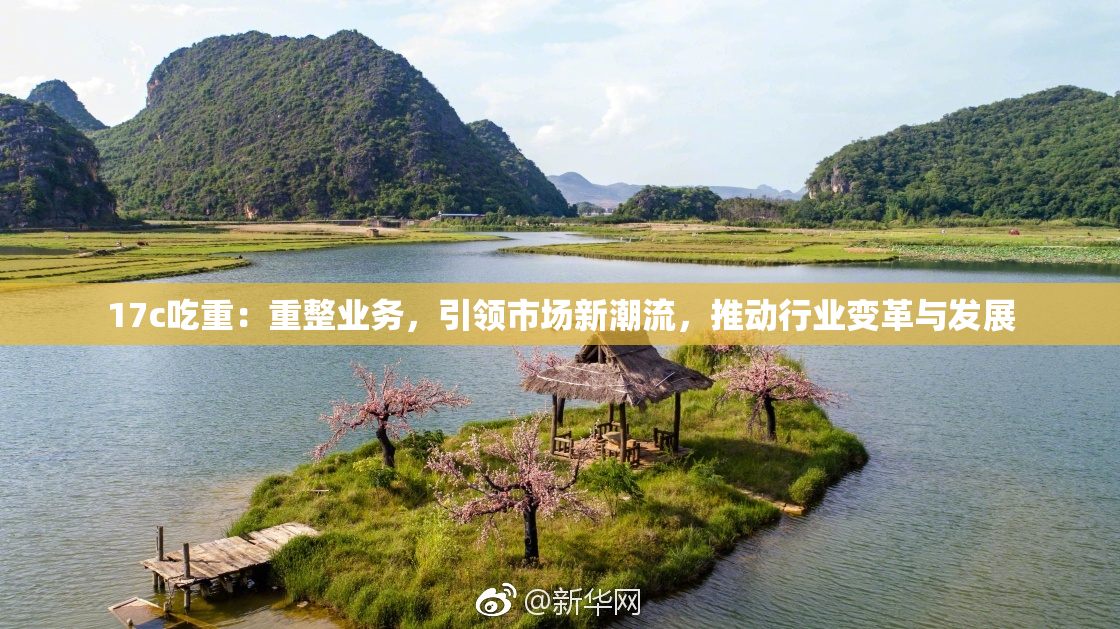 17c吃重：重整业务，引领市场新潮流，推动行业变革与发展