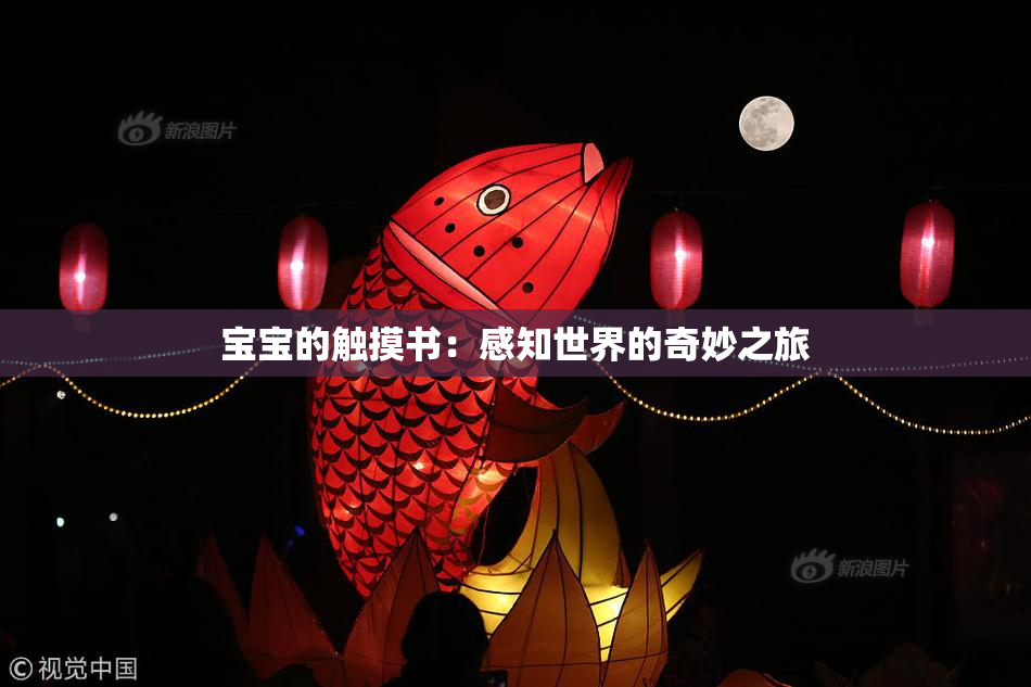宝宝的触摸书：感知世界的奇妙之旅