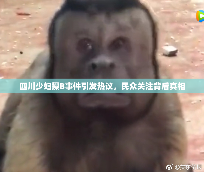 四川少妇搡B事件引发热议，民众关注背后真相