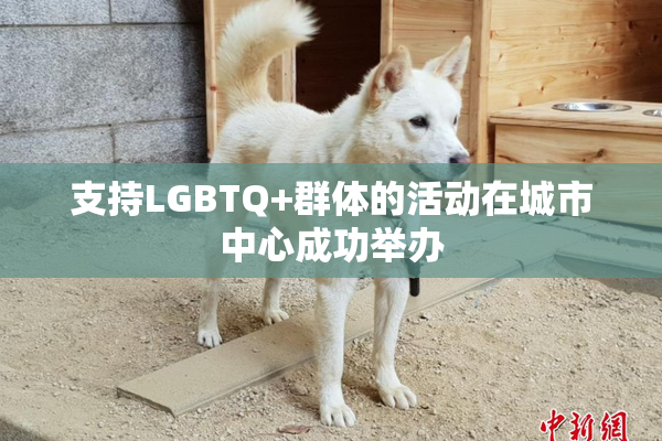 支持LGBTQ+群体的活动在城市中心成功举办