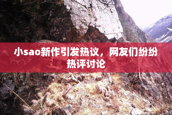 小sao新作引发热议，网友们纷纷热评讨论