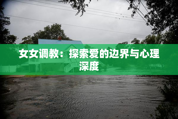 女女调教：探索爱的边界与心理深度