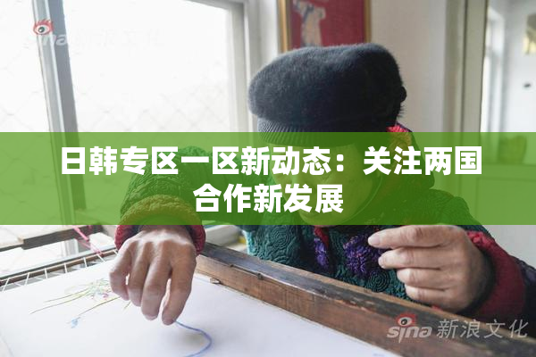 日韩专区一区新动态：关注两国合作新发展