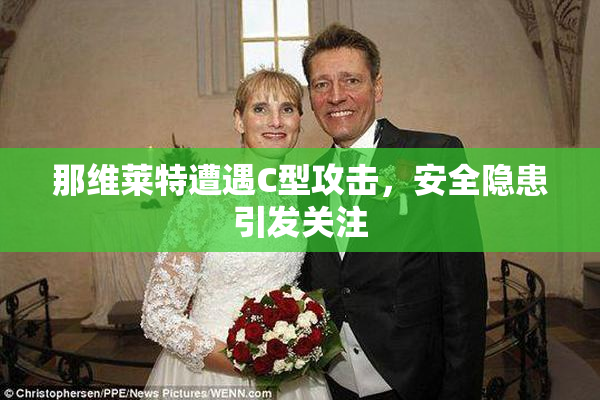 那维莱特遭遇C型攻击，安全隐患引发关注
