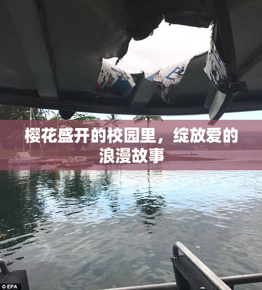 樱花盛开的校园里，绽放爱的浪漫故事