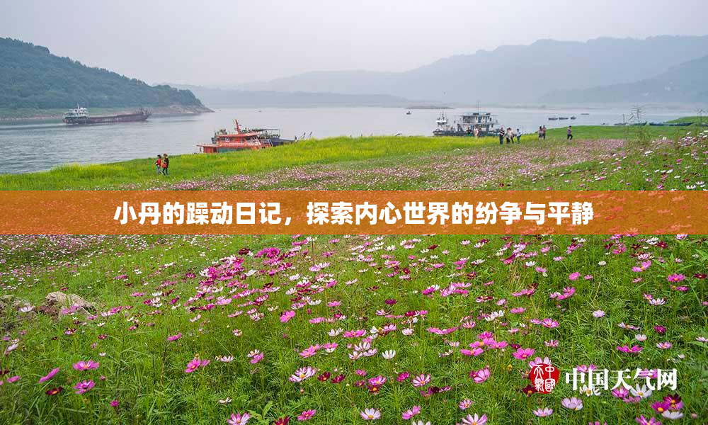 小丹的躁动日记，探索内心世界的纷争与平静