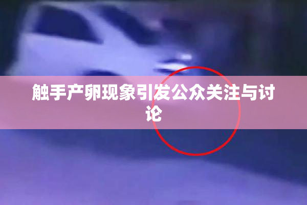 触手产卵现象引发公众关注与讨论