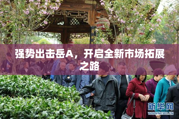 强势出击岳A，开启全新市场拓展之路