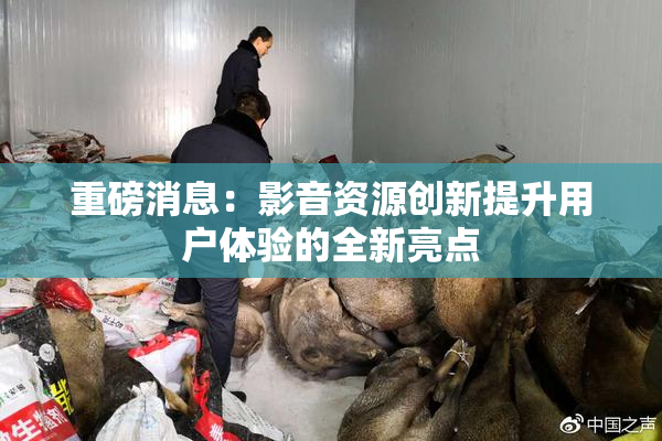 重磅消息：影音资源创新提升用户体验的全新亮点